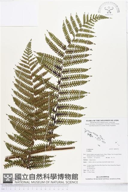 登錄號:BP00723藏品圖，第2張