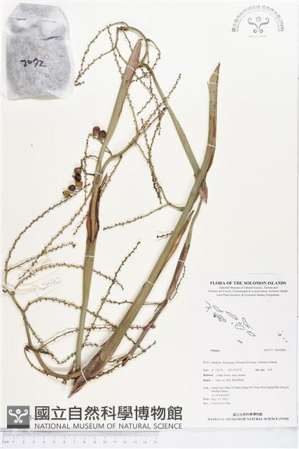 登錄號:BS02883藏品圖，第2張