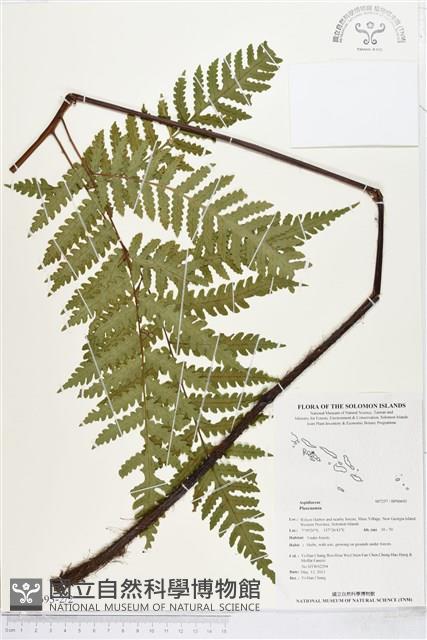 登錄號:BP00693藏品圖，第2張