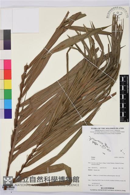 登錄號:BS07793藏品圖，第2張