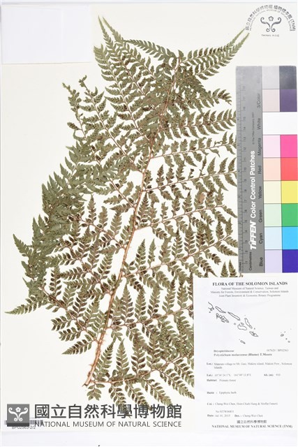 登錄號:BP02563藏品圖，第2張