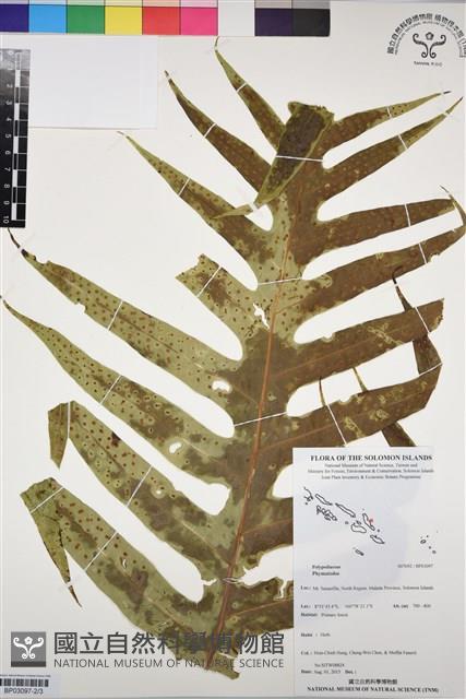 Accession Number:BP03097 Collection Image, Figure 2, Total 3 Figures