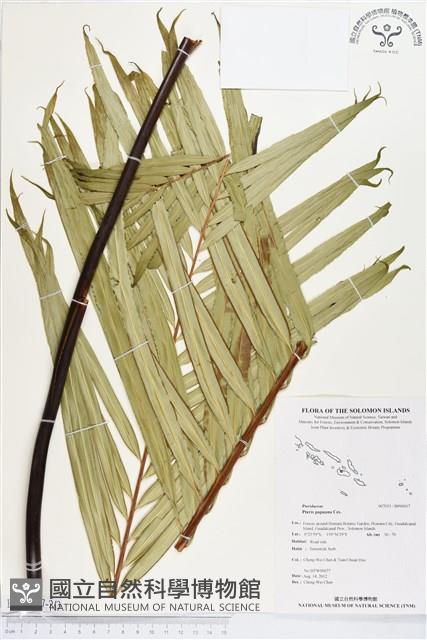 登錄號:BP00017藏品圖，第2張