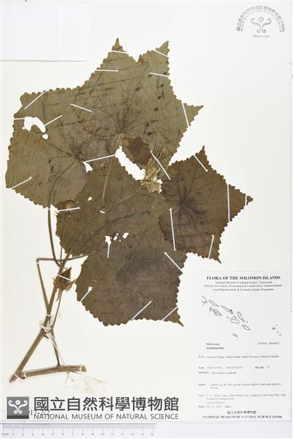 登錄號:BS04017藏品圖，第2張