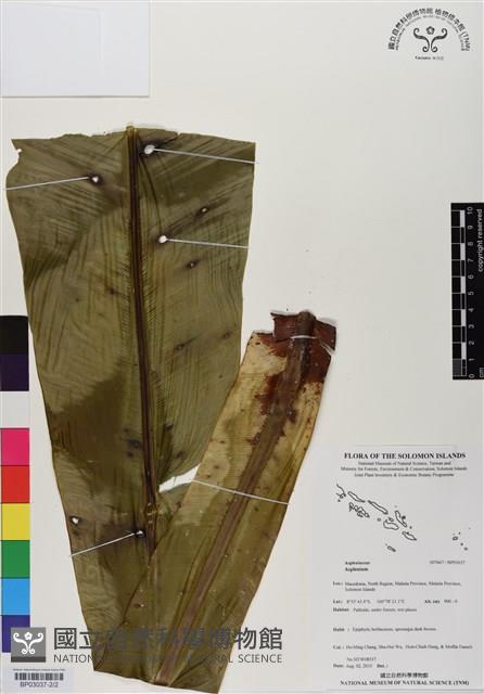 登錄號:BP03037藏品圖，第2張