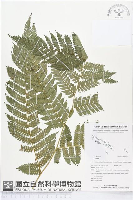 登錄號:BP00637藏品圖，第2張