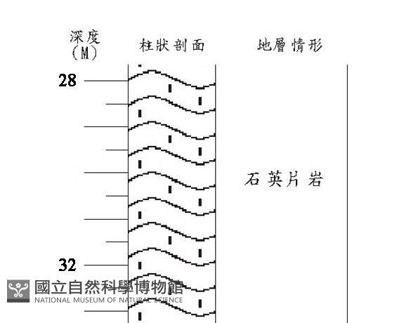 登錄號:C005186藏品圖，第3張