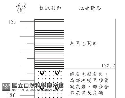登錄號:C001366藏品圖，第3張
