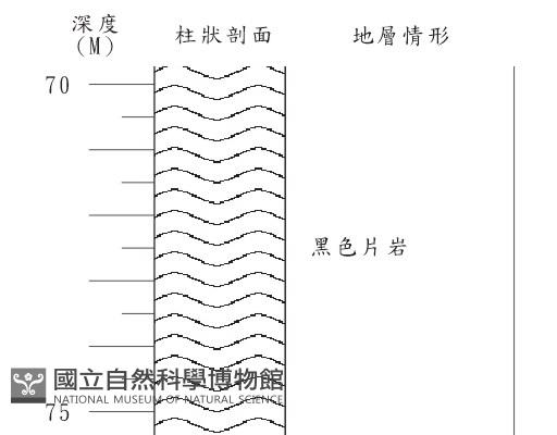 登錄號:C004266藏品圖，第3張