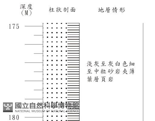 登錄號:C001376藏品圖，第3張
