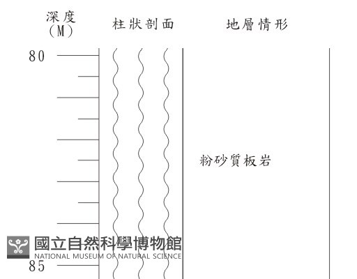 登錄號:C003876藏品圖，第2張