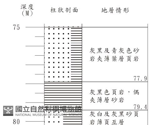 登錄號:C001356藏品圖，第3張