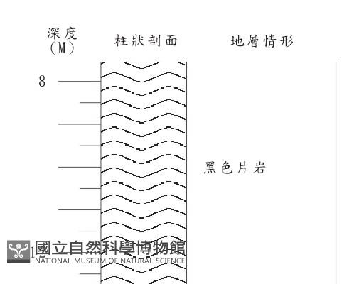 登錄號:C003956藏品圖，第2張