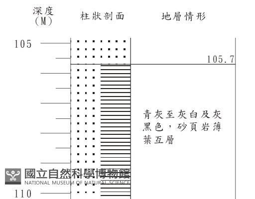登錄號:C001362藏品圖，第3張