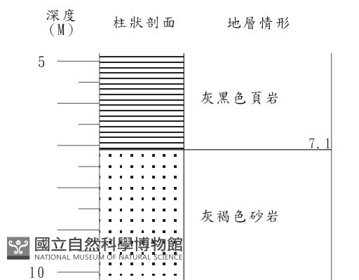 登錄號:C001342藏品圖，第3張