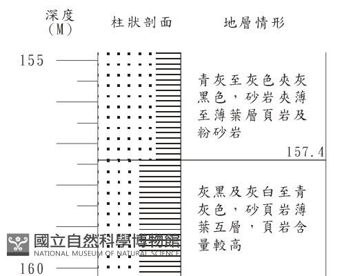 登錄號:C001372藏品圖，第3張