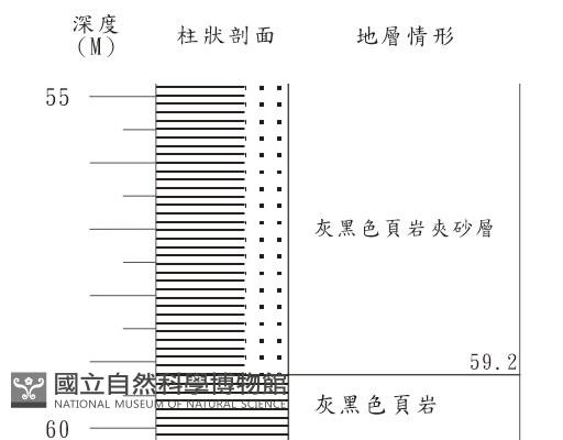 登錄號:C001352藏品圖，第3張