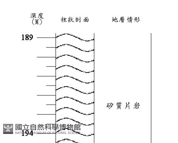 登錄號:C005252藏品圖，第3張