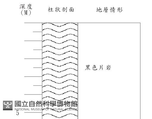 登錄號:C004252藏品圖，第2張