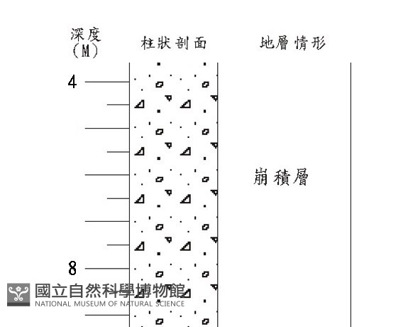 登錄號:C005180藏品圖，第3張