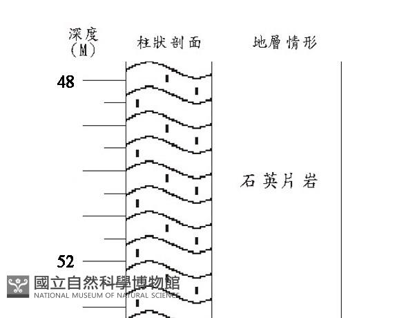 登錄號:C005190藏品圖，第3張