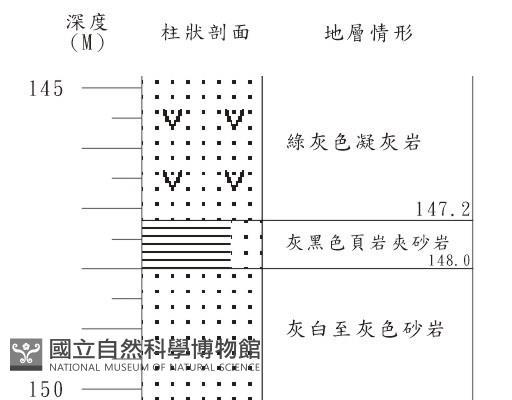 登錄號:C001370藏品圖，第3張
