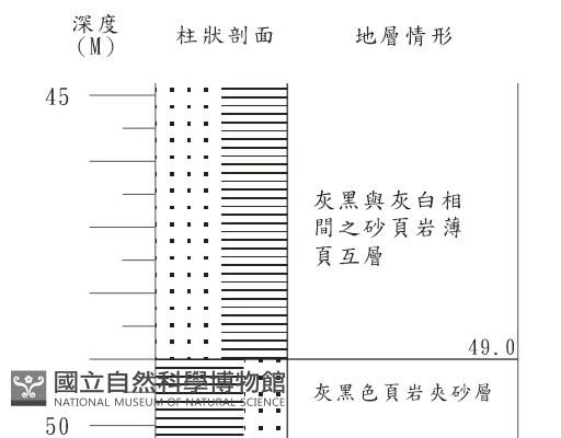 登錄號:C001350藏品圖，第3張