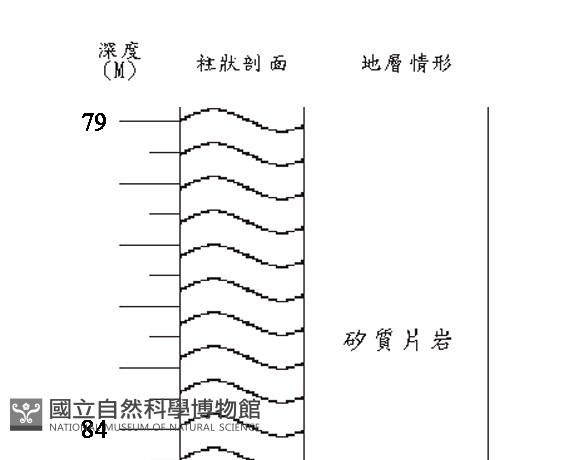 登錄號:C005230藏品圖，第3張
