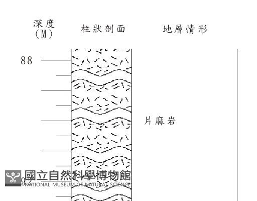 登錄號:C004181藏品圖，第2張