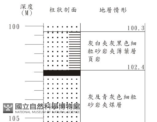 登錄號:C001361藏品圖，第3張