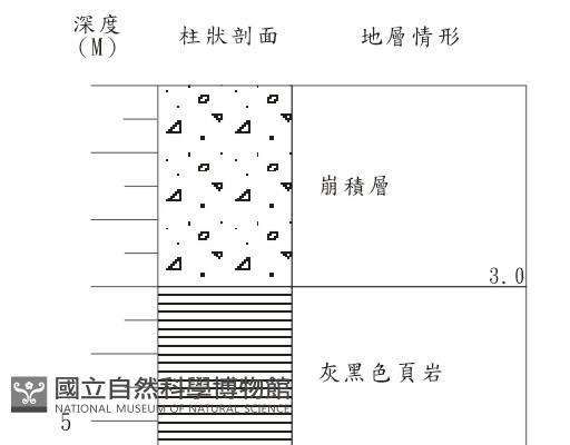 登錄號:C001341藏品圖，第3張