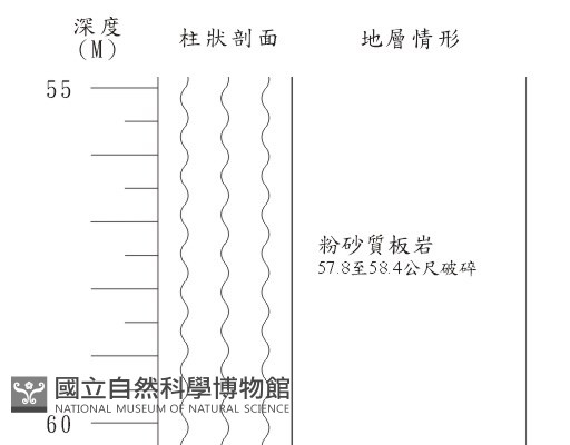 登錄號:C003871藏品圖，第2張