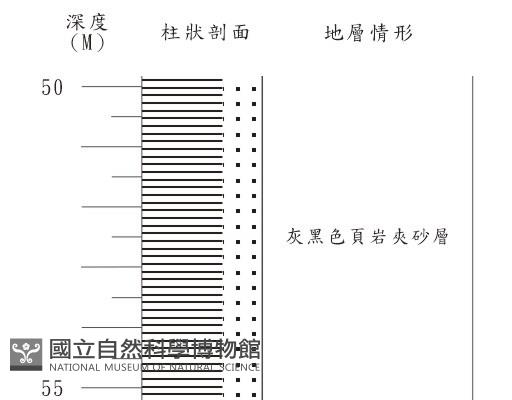 登錄號:C001351藏品圖，第3張