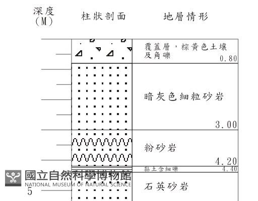 登錄號:C001311藏品圖，第3張