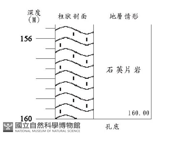 登錄號:C005211藏品圖，第3張