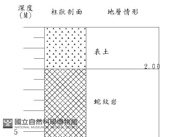 登錄號:C000001藏品圖，第3張