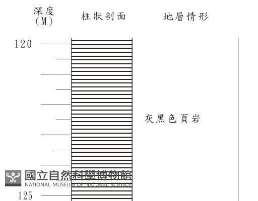 登錄號:C001365藏品圖，第3張