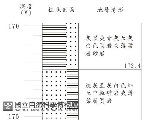 登錄號:C001375藏品圖，第3張