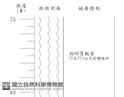 登錄號:C003875藏品圖，第2張