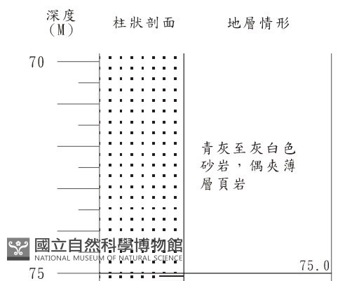 登錄號:C001355藏品圖，第3張