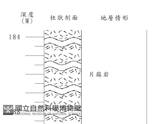 登錄號:C004205藏品圖，第2張