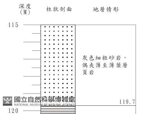 登錄號:C001364藏品圖，第3張