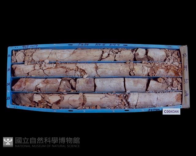 登錄號:C004344藏品圖，第3張