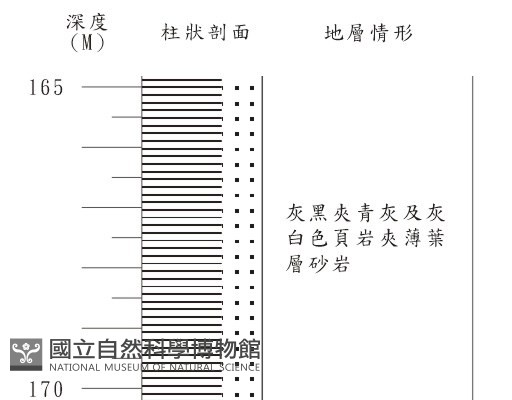 登錄號:C001374藏品圖，第3張