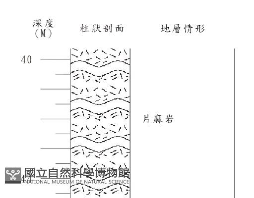 登錄號:C004169藏品圖，第2張