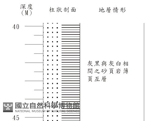 登錄號:C001349藏品圖，第3張