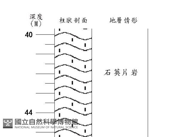 登錄號:C005188藏品圖，第3張