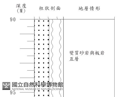 登錄號:C003878藏品圖，第2張