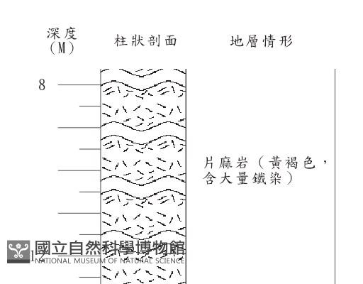 登錄號:C004338藏品圖，第3張