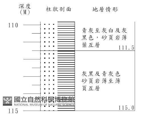登錄號:C001363藏品圖，第3張